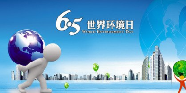 2017六五专题.png